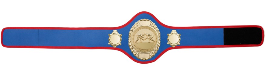 GRAPPLING CHAMPIONSHIP BELT-PRO286/G/GRAPPG-10+ COLOURS